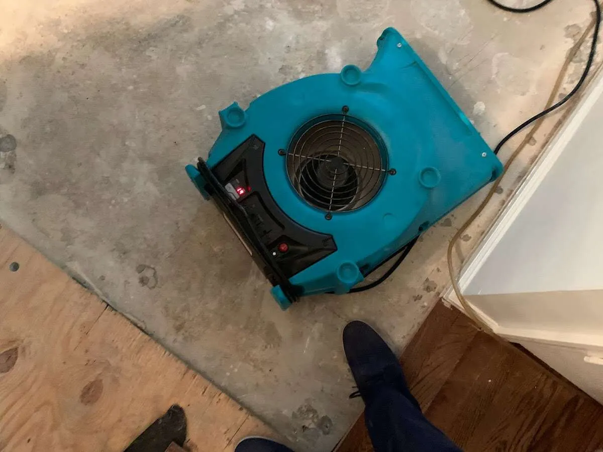 Air mover drying subfloor during Leak Detection & Repair in Plum